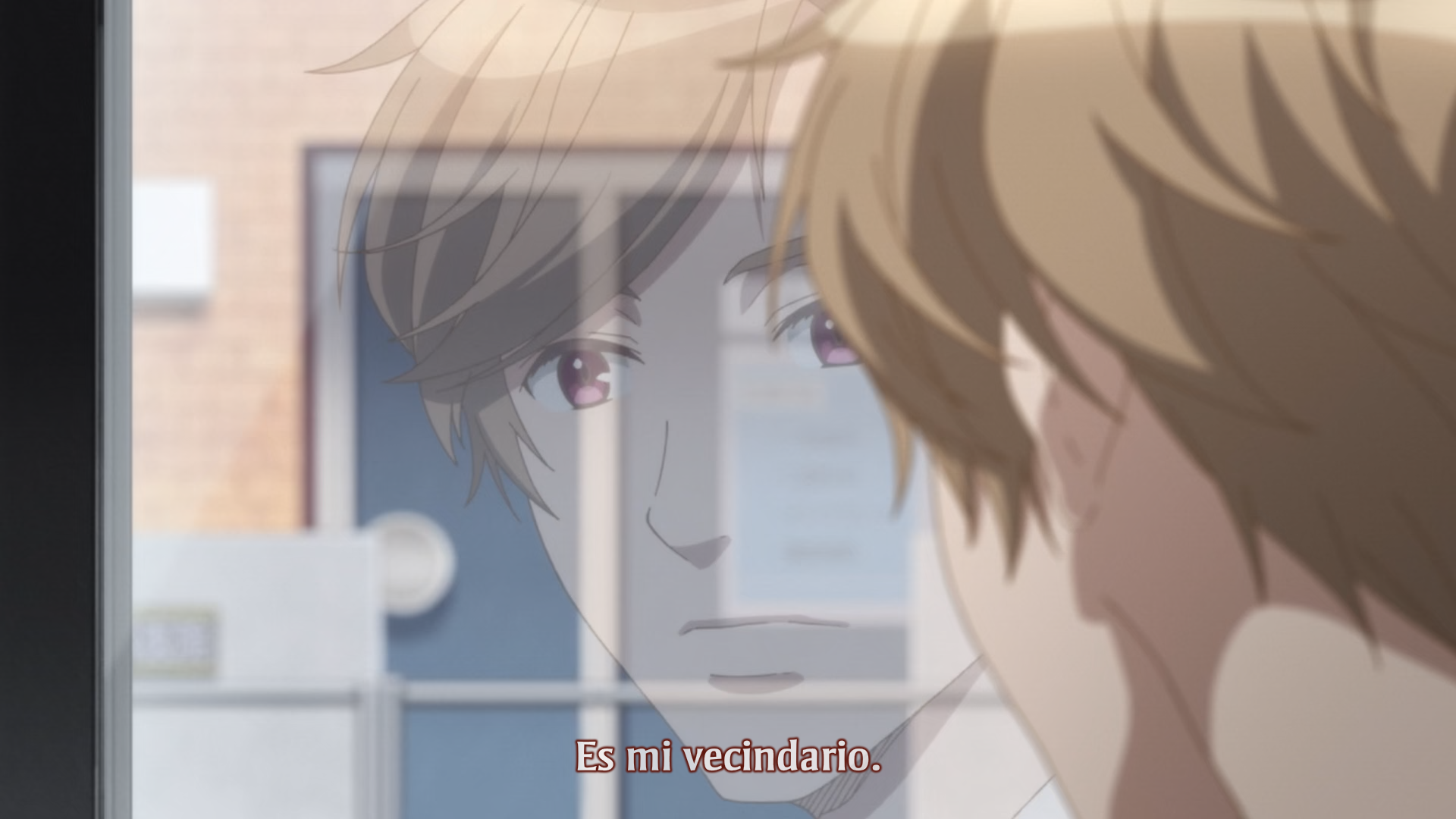 Yes ka No ka Hanbun ka (Majo no Kuni)